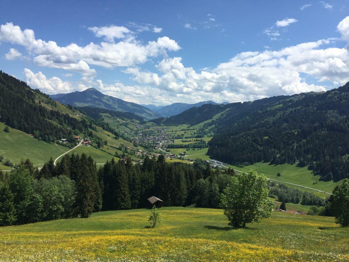 Sonnenalp Bergruhe Apartment Niederau Luaran gambar